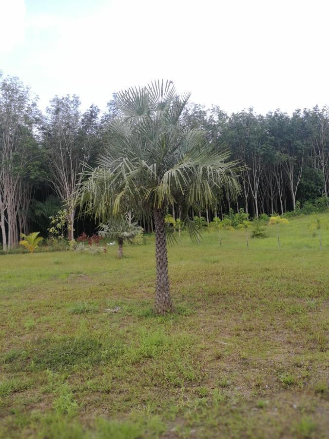 Palm Garden House Daire Ko Lanta Dış mekan fotoğraf