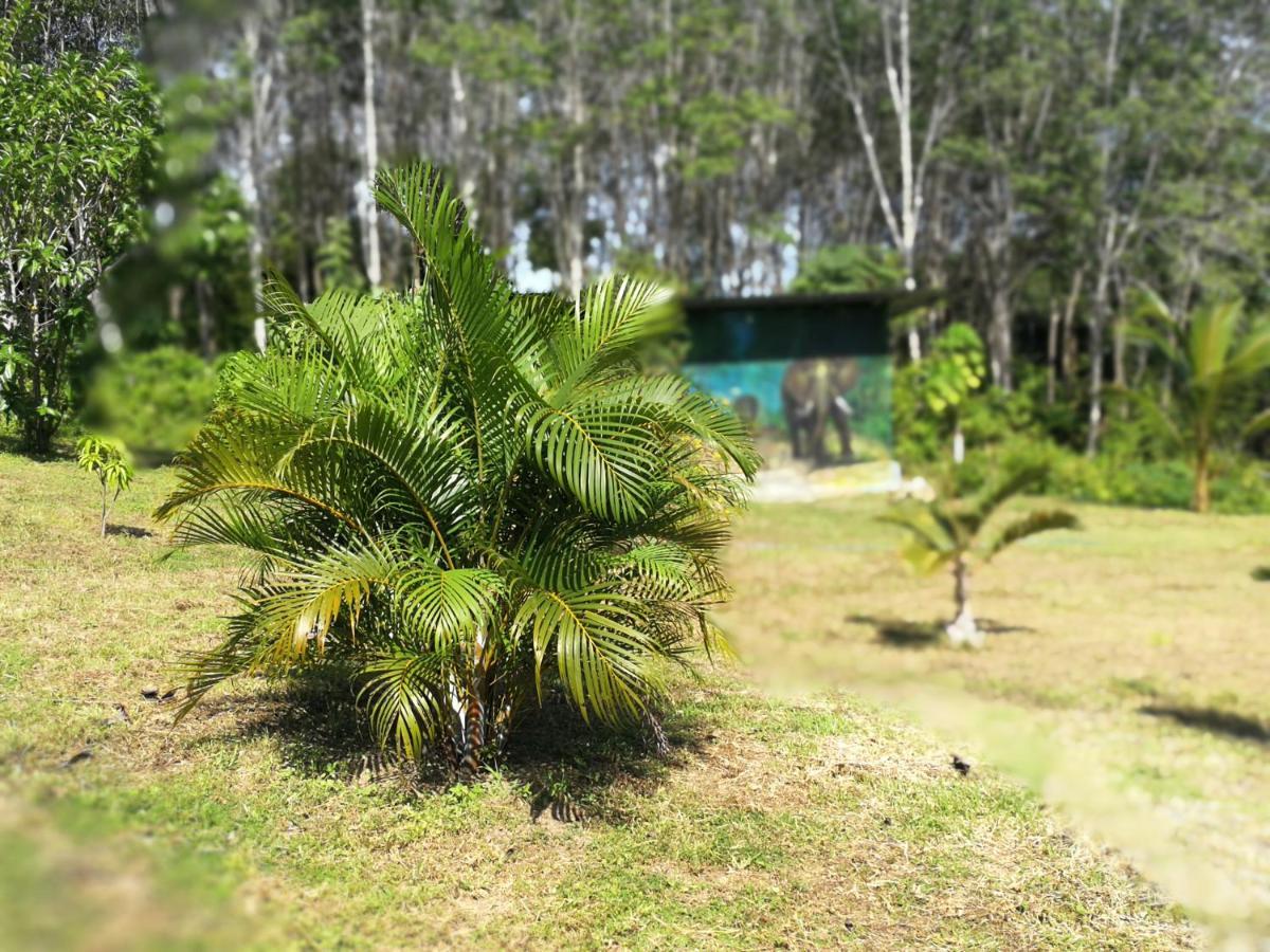 Palm Garden House Daire Ko Lanta Dış mekan fotoğraf