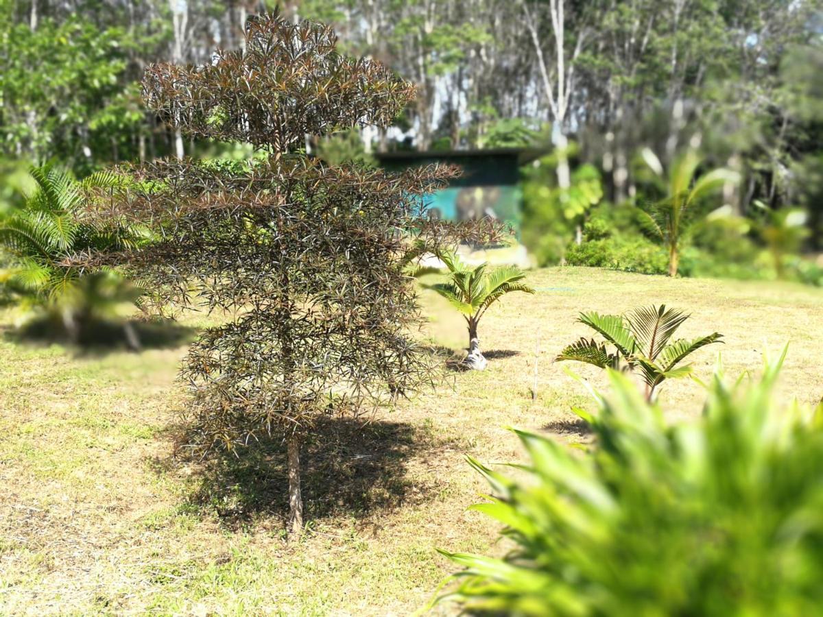 Palm Garden House Daire Ko Lanta Dış mekan fotoğraf