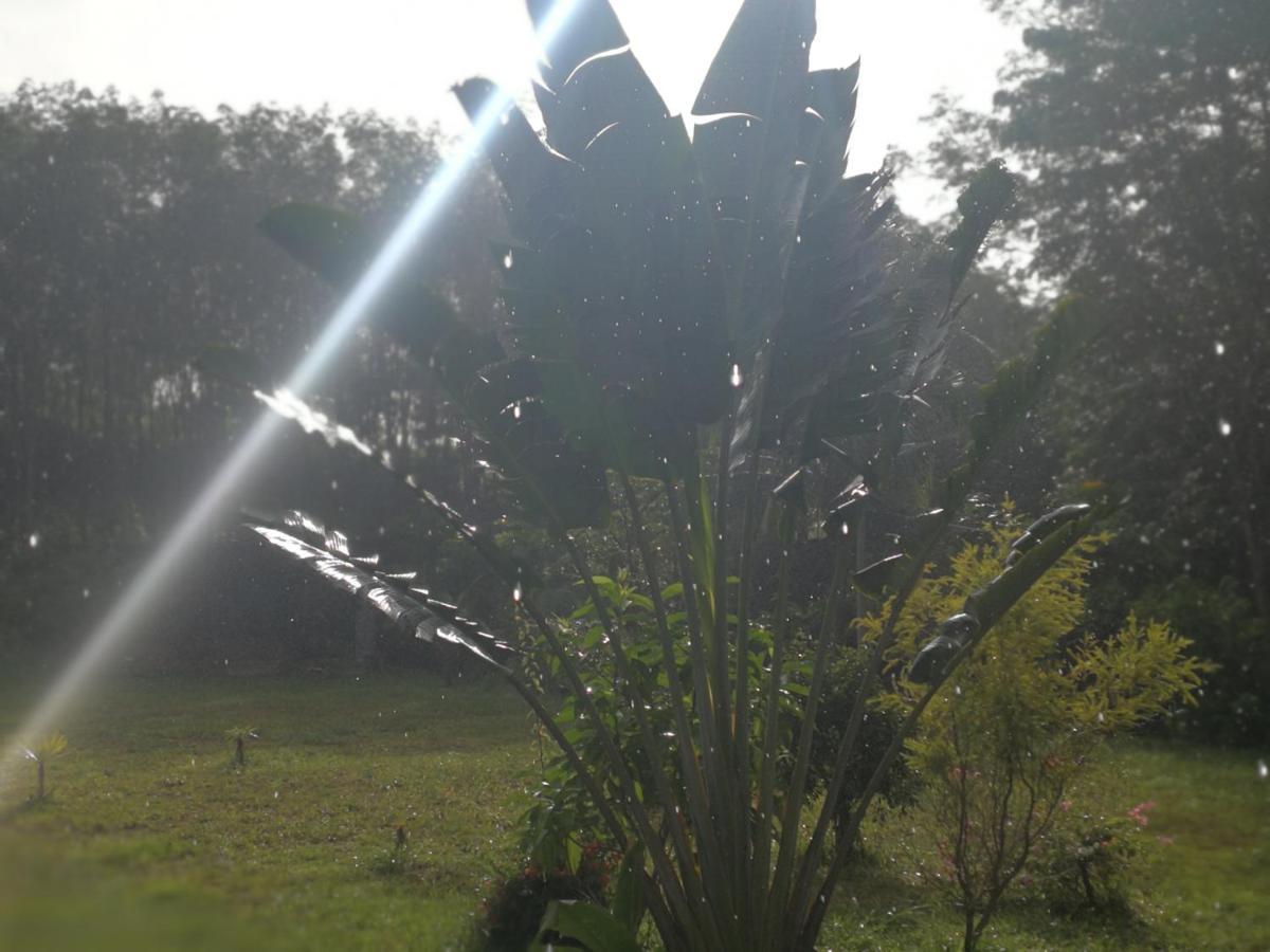 Palm Garden House Daire Ko Lanta Dış mekan fotoğraf