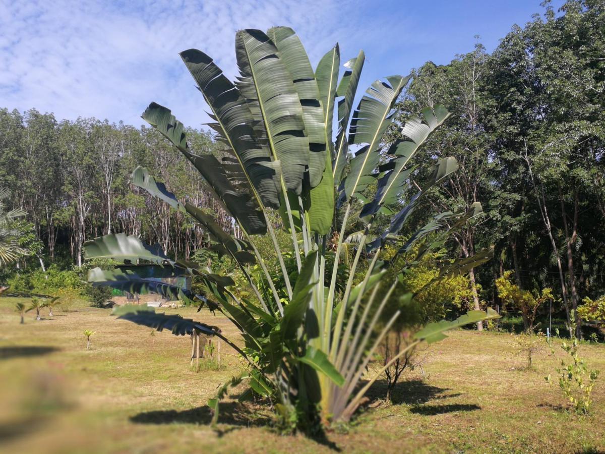 Palm Garden House Daire Ko Lanta Dış mekan fotoğraf